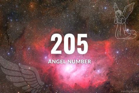 205 angel number love|205 Angel Number Meaning: Harmony, Adaptability, Courage